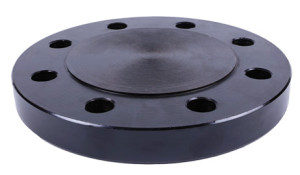 A105 Flange Raised Faces